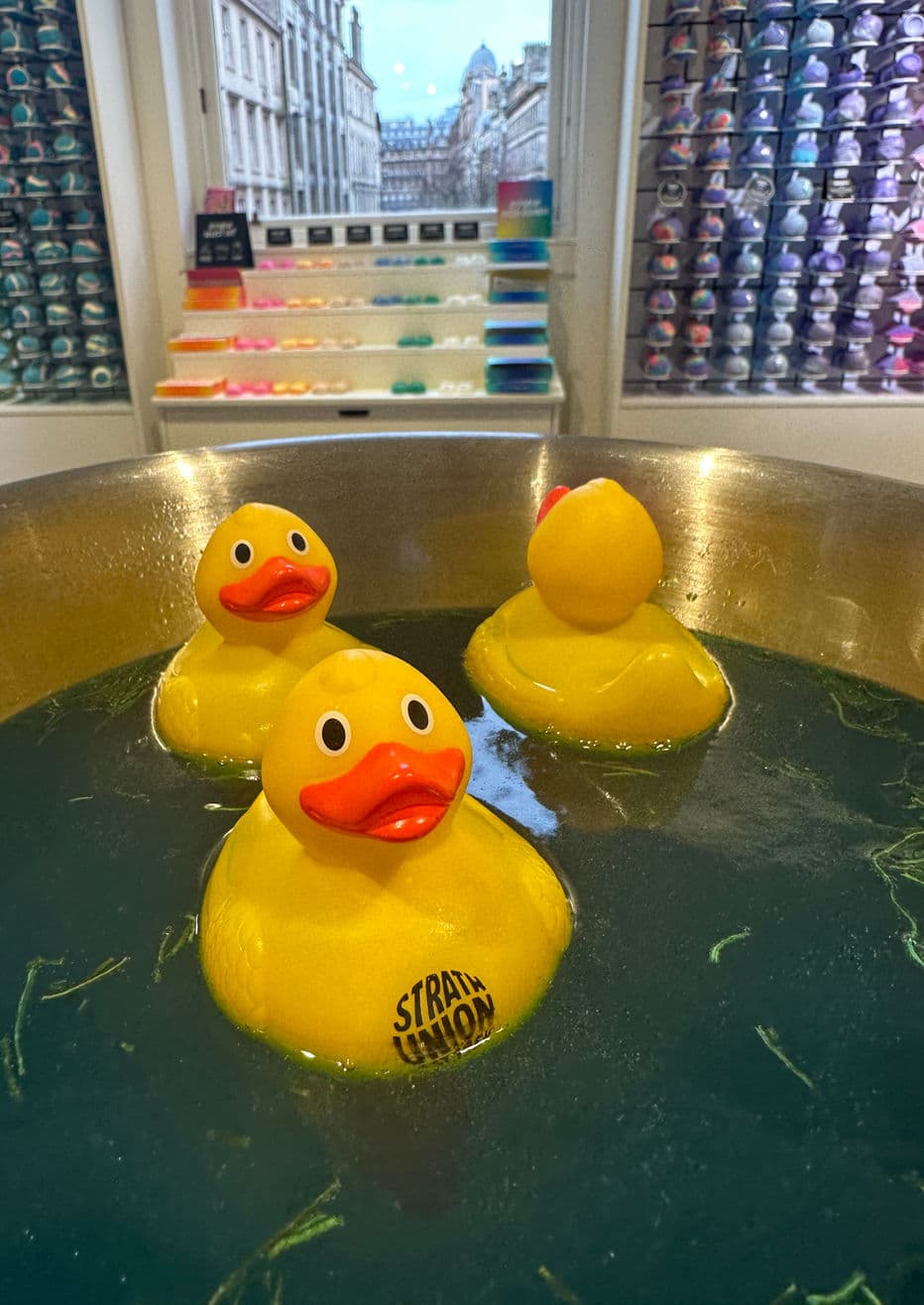 The Great Strathy Duck Adventure 2026